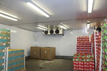 for-cold-storage-plant